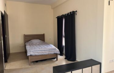 L-Shaped studio for Rent in Remraam