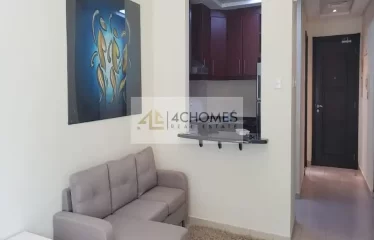 Furnished Studio I Next to metro I Investor Unit