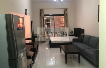 Well maintained Studio I Fully Furnished I Balcony