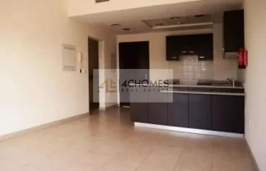 Spacious 1 Bed I Massive Terrace I Rented unit