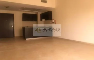 Spacious 1 Bed I Massive Terrace I Rented unit