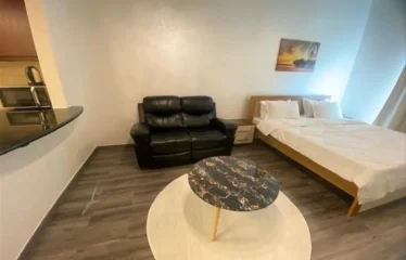 Fully Furnished | Upgraded Unit | Spacious Layout