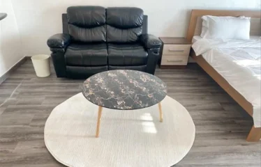 Fully Furnished | Upgraded Unit | Spacious Layout