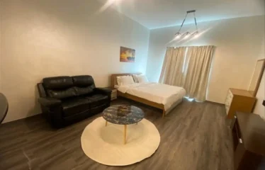 Fully Furnished | Upgraded Unit | Spacious Layout